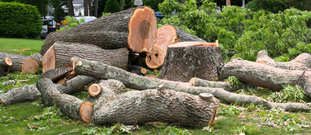 Best Firewood Processing and Delivery  in Pahala, HI